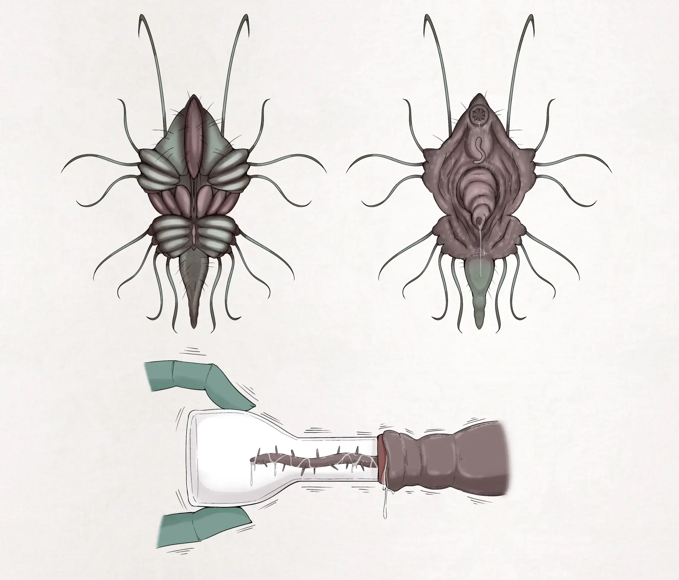 Insect Research Report